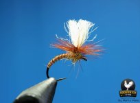 FB_IMG_1550557893199-800x589.jpg