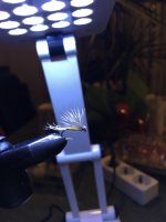 8D794668-C4E5-4B0A-85DF-A8D0D000F801.jpeg