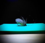 FC8EEFDE-4C2F-4C6C-BD5F-D01C73EE304A.jpeg