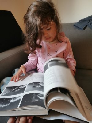 IMG_20201229_155436.jpg