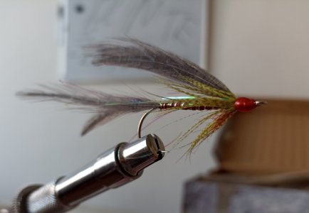 Resizer_16470944461941.jpg