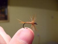 S7300530.JPG