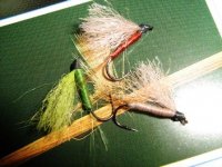POLY-wing-MAYFLY.jpg