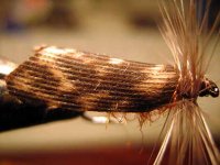 Sedge.jpg