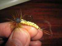 Neoprene Mayfly.jpg