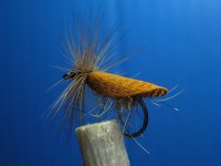 Dark-orange-wing!.jpg