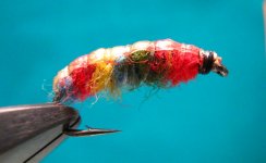 GOOGLE SHRIMP 002.jpg