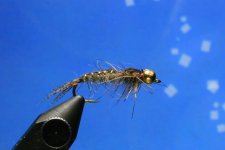 IMG_0543.JPG