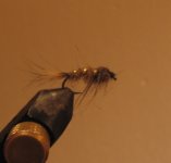 IMG_6847.jpg