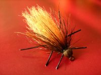 Salmonfly.jpg