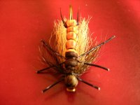 Salmonfly 001.jpg