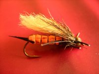 Salmonfly 002.jpg