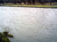Ogromna ....jpg