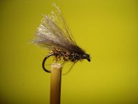 paun caddis.jpg