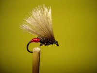 red tag caddis.jpg