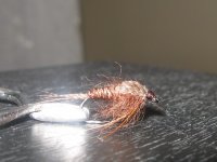 P.T. Ecdyonurus 4 Early Season.jpg