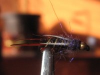 IMG_0113.jpg