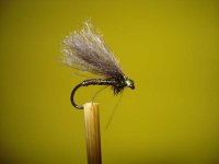black caddis.jpg