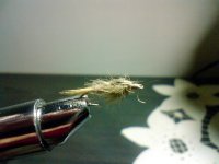 Ubojica pastrmki...jpg