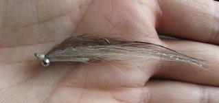 clouser1.jpg