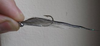 clouser slinav.jpg