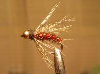Picture 9509701831_resize.jpg
