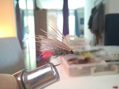 Resizer_17139591533713.jpeg