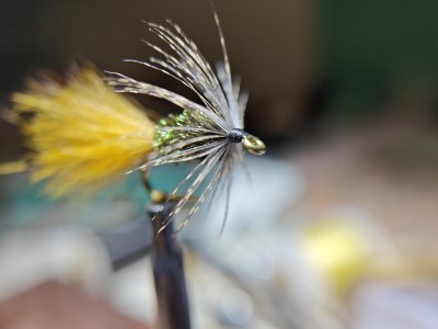 IMG20240603134054.jpg