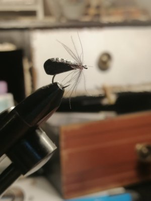 IMG_20241209_210234.jpg