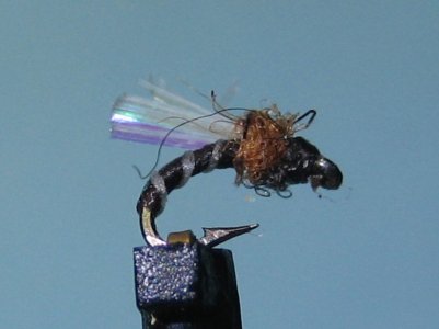 Pat Dorsey's Top Secret Midge.JPG