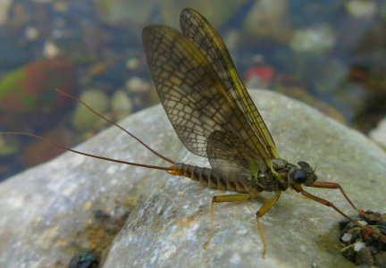 IMG_1899.jpg