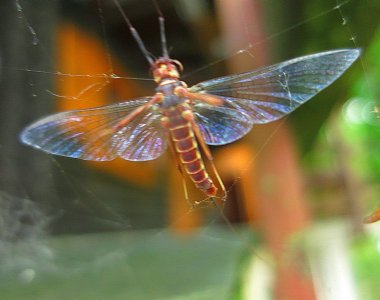 IMG_3737.JPG