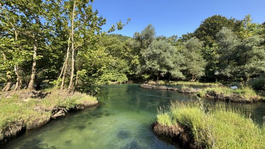 IMG_6995.jpeg