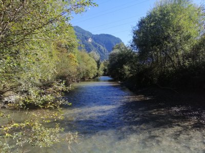 IMG_20250920_151451.jpg