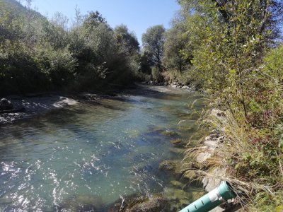 IMG_20250920_151455.jpg