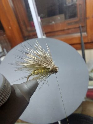 IMG-0e9a9eefbe6b06daea7a87d6e631c62b-V.jpg