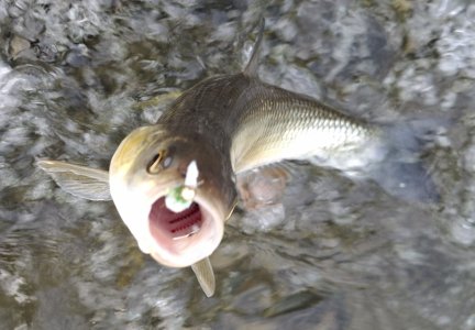 20250927_123130.jpg