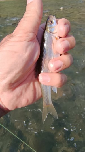 IMG_20250907_155927083.jpg