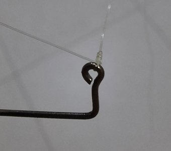 20251111_220111.jpg
