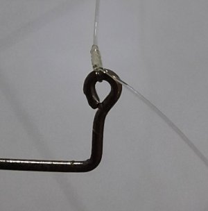20251111_220355.jpg