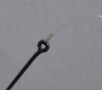 20251111_223526.jpg