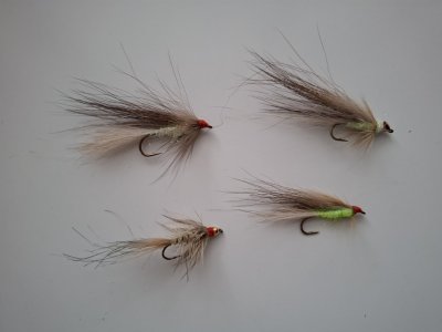 20251226_143206.jpg
