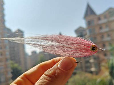 IMG_20260108_081056.jpg