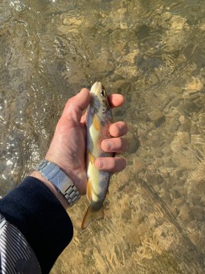 IMG_2162.jpeg