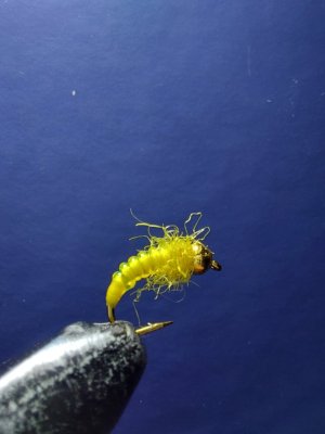 IMG_1409.jpeg