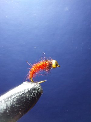 IMG_1412.jpeg