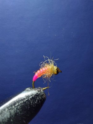 IMG_1407.jpeg