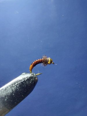 IMG_1406.jpeg