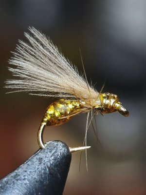 IMG_20260605_175440.jpg