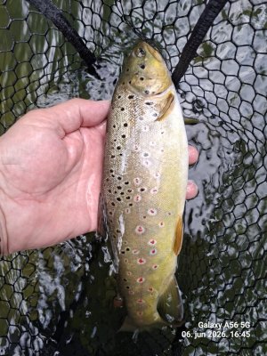 20260606_164557.jpg